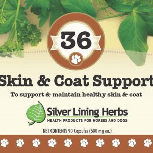 Silver Lining Herbs 36 Canine Skin & Coat Support - Natural Herbal Supplement to Fortify Dogs Against The Environment - Herbal Skin and Coat Supplement for Dogs - 90 Capsules