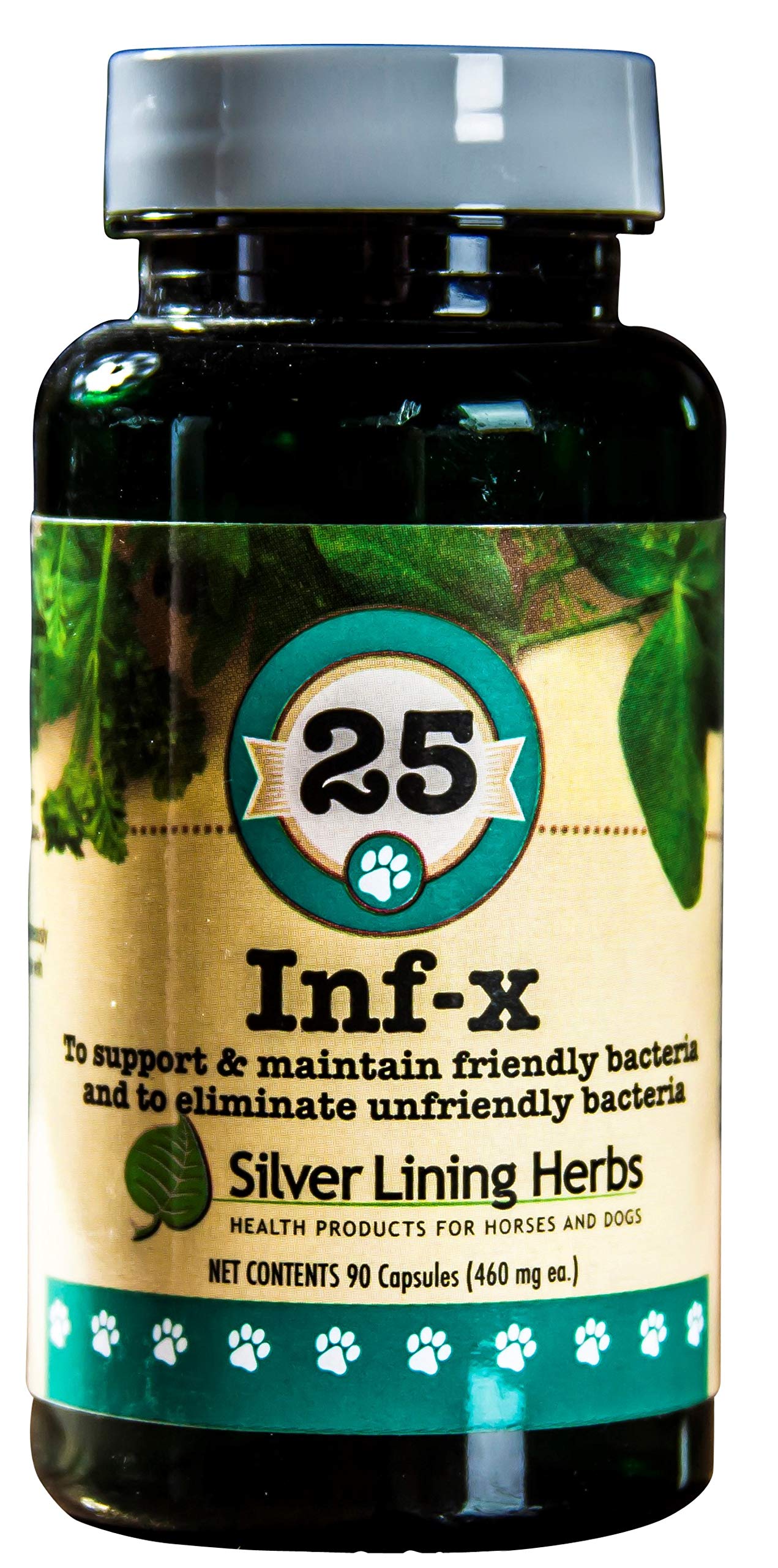 Silver Lining Herbs 25 Canine INF-X - Helps Maintain Healthy Digestion Levels - Natural Support for Normal Detoxification Process - Herbal Health Supplement for Dogs - 90 Capsules