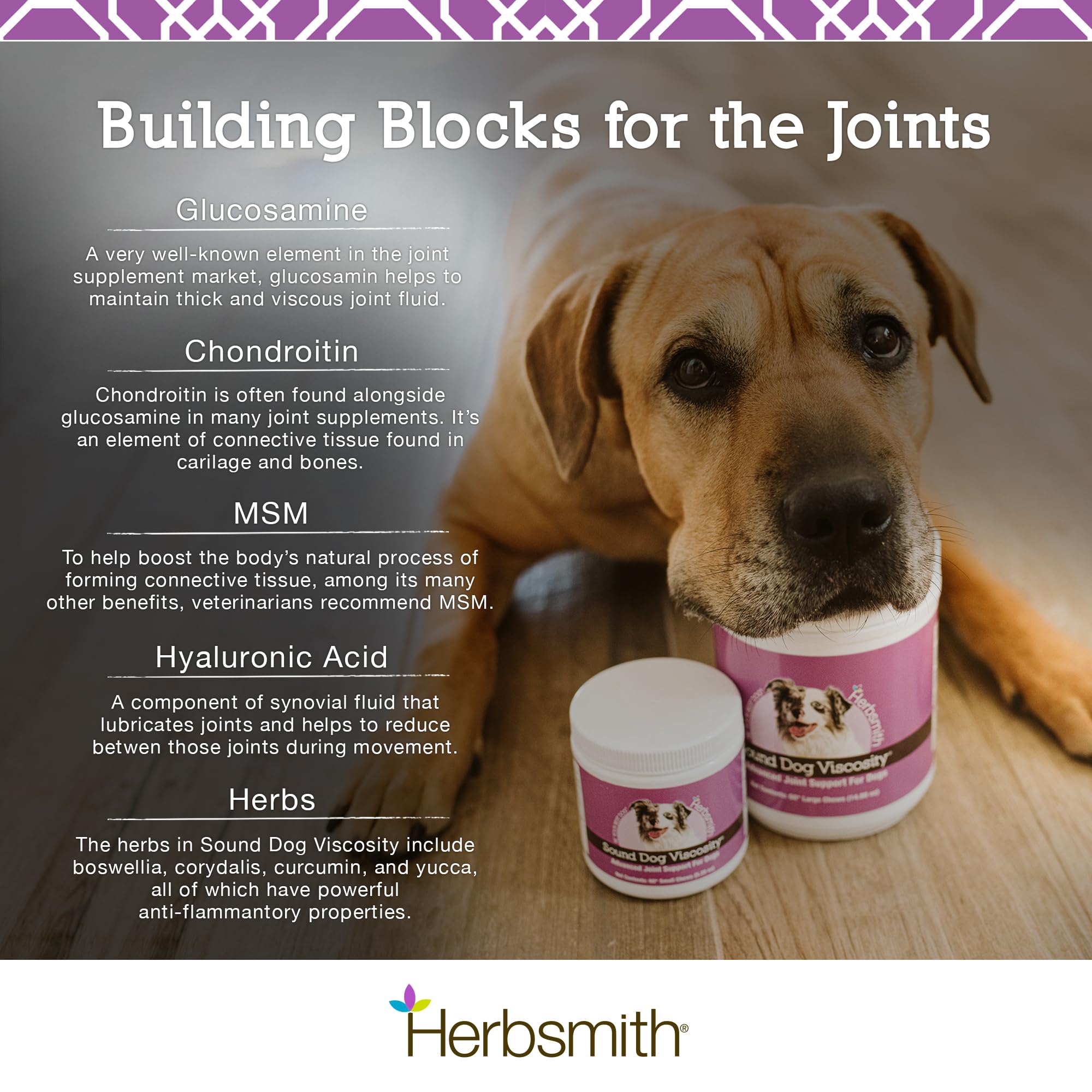 Herbsmith Sound Dog Viscosity – Advanced Joint Support for Dogs – Veterinarian Recommended Glucosamine for Dogs, Hyaluronic Acid, Chondroitin, MSM – Natural Arthritis Pain Relief – 60ct Large Chews