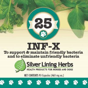 Silver Lining Herbs 25 Canine INF-X - Helps Maintain Healthy Digestion Levels - Natural Support for Normal Detoxification Process - Herbal Health Supplement for Dogs - 90 Capsules