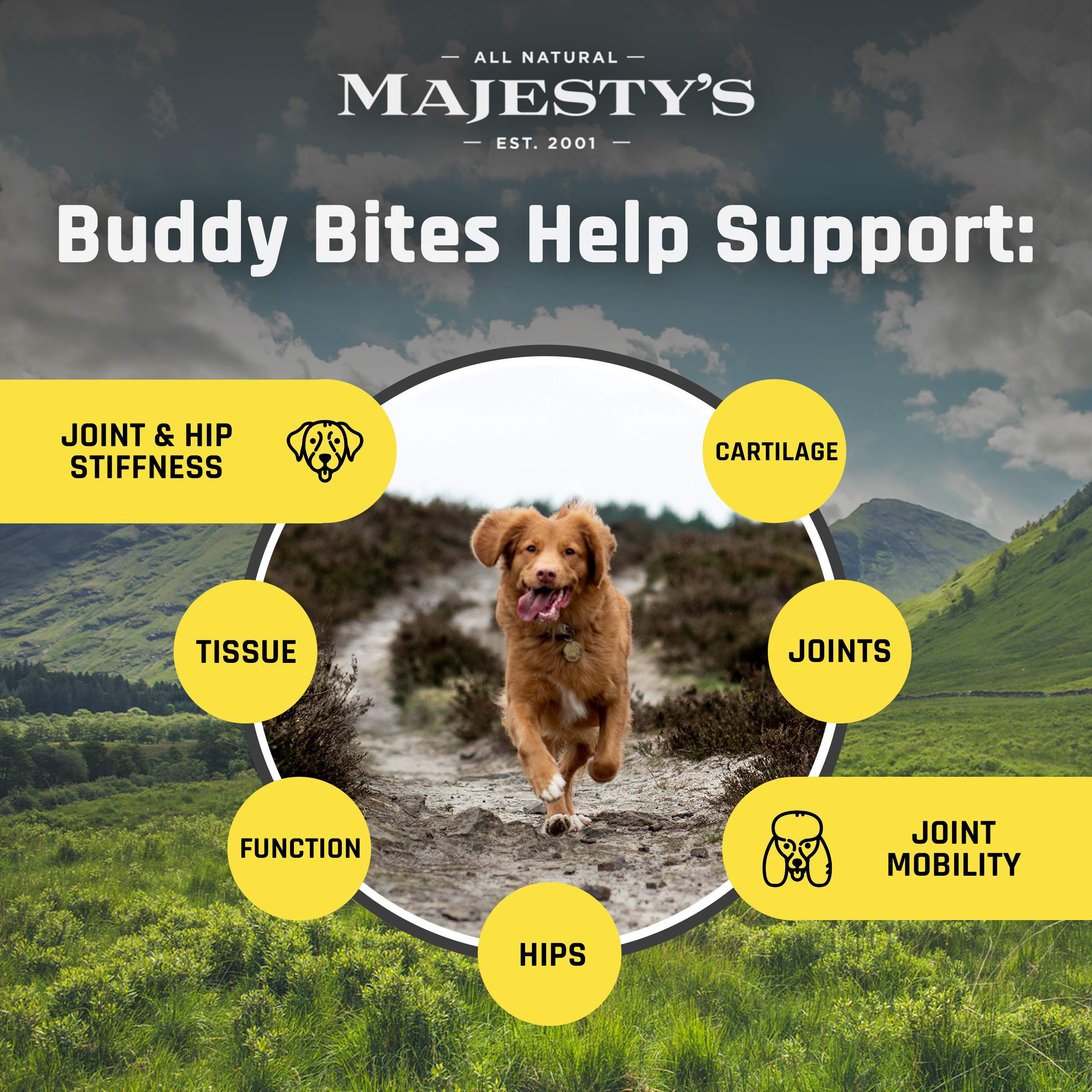 Majesty's Buddy Bites Hip and Joint Wafers for Medium / Large Dogs - Superior Support Supplement - Peanut Butter and Coconut Oil Flavored - 56 Count (Up To 8 Week Supply)