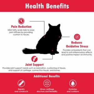 HealthyPets Joint MAX Soft Chews for Cats (60 Chews)