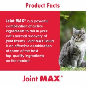 HealthyPets Joint MAX Soft Chews for Cats (60 Chews)