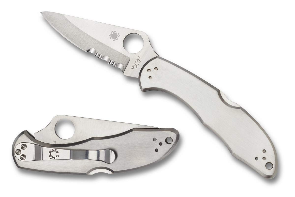 Spyderco Knives Stainless Steel Delica 4 Lockback CombinationEdge VG-10 Blade Pocket Knife C11PS