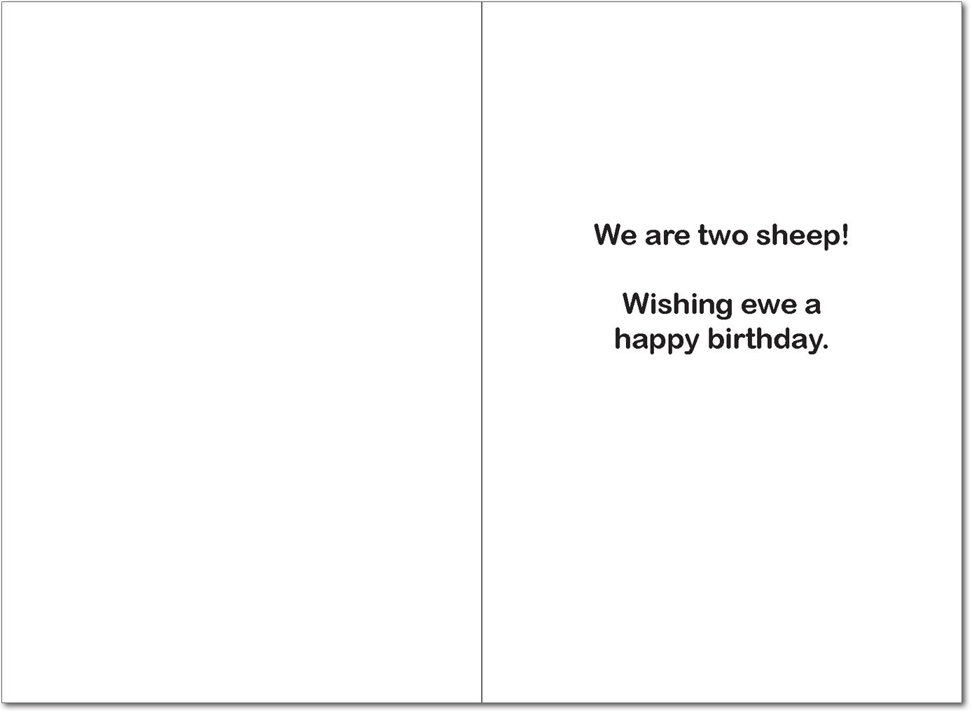 NobleWorks 8189 Two Sheep Naughty Humor Birthday Greeting Card with Envelope