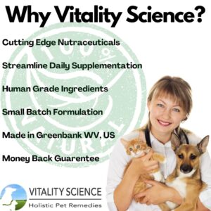 Vitality Science Canine Comfort Plus for Dogs | Advanced Digestive Support | for Chronic Vomiting & Diarrhea | Restores Microbiological Balance | Reduces Acidity | 100% Safe & Natural (Seafood, 120g)