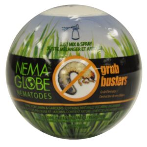 nema globe nematodes grub buster, controls white grubs in lawns and gardens, 2.75 oz, covers 3,000 sq ft (2 bio pouches, approx 20 million nematodes) - eliminates grubs