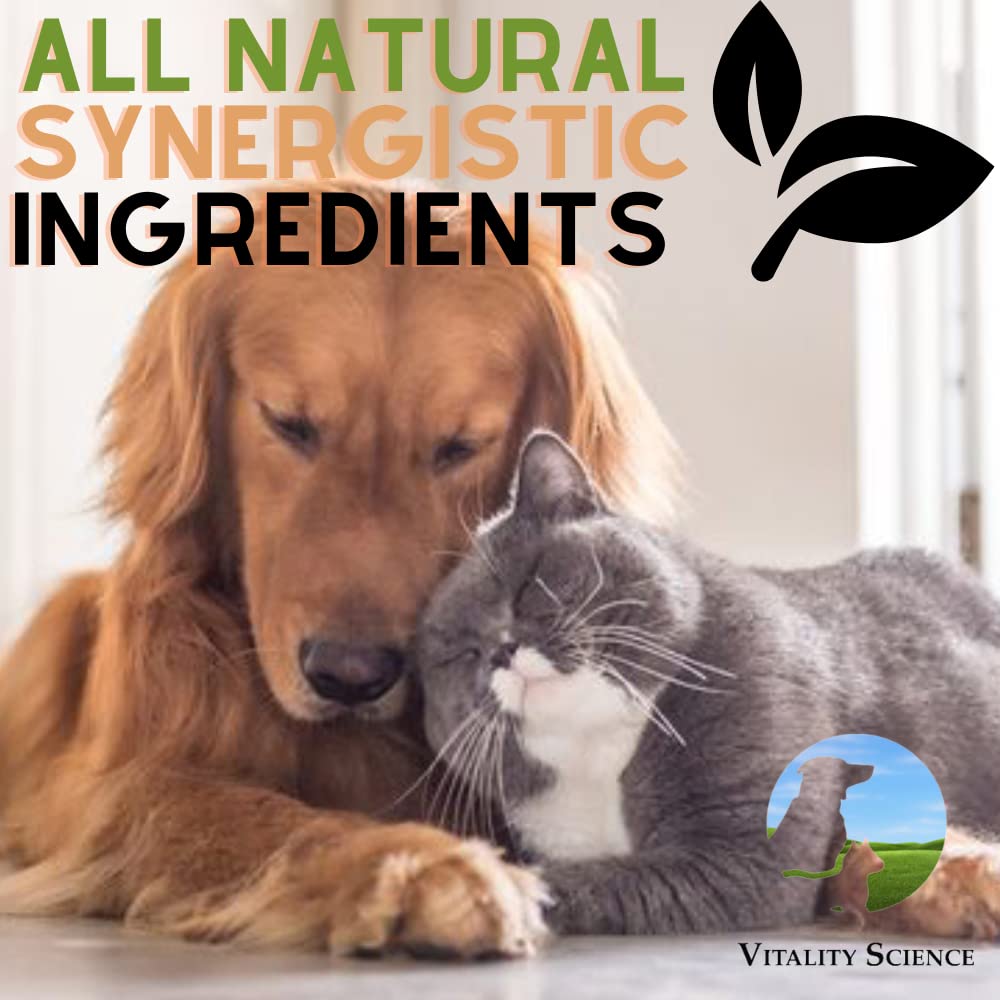 Vitality Science Canine Comfort Plus for Dogs | Advanced Digestive Support | for Chronic Vomiting & Diarrhea | Restores Microbiological Balance | Reduces Acidity | 100% Safe & Natural (Seafood, 120g)