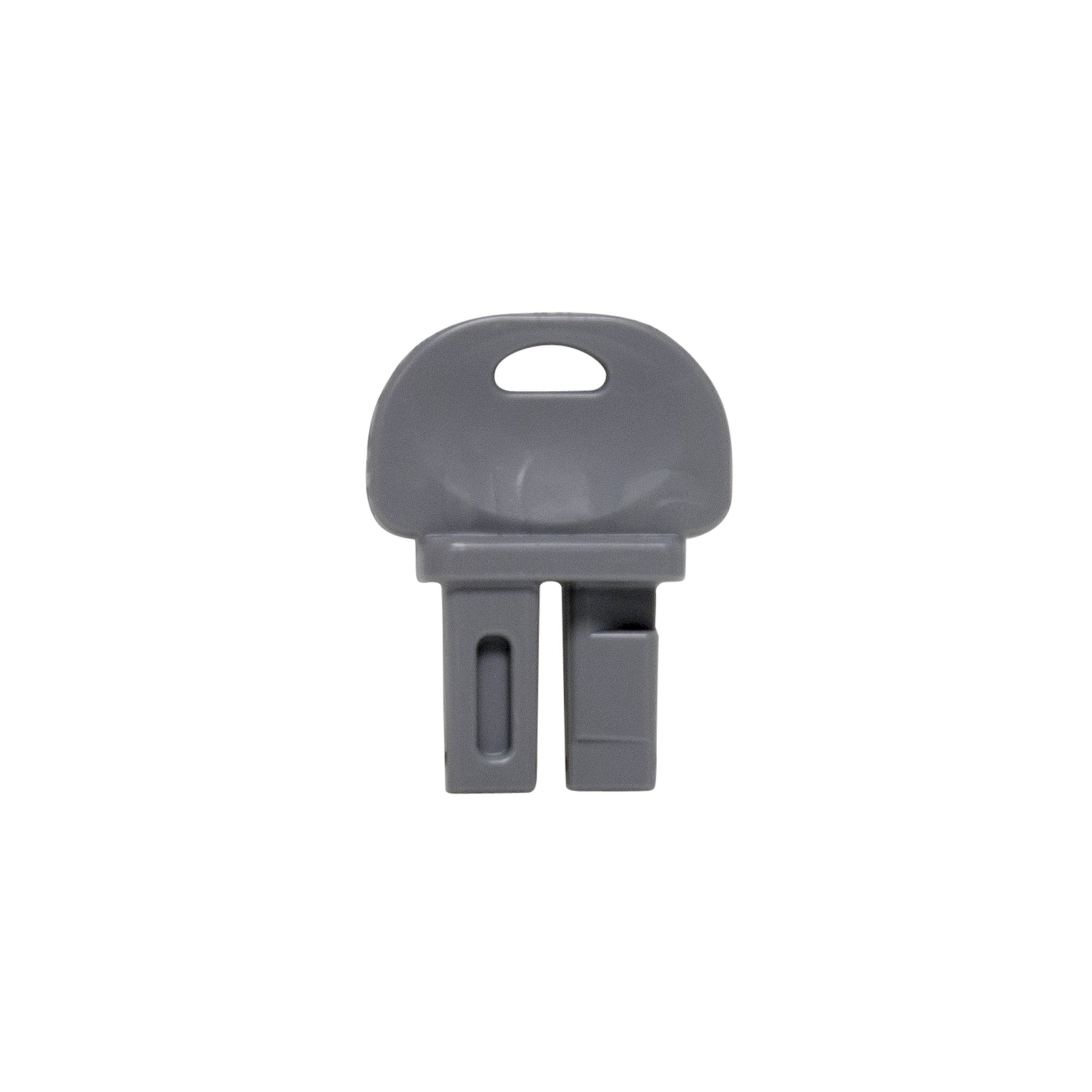 EZ Klean Rat Bait Station Replacement Key (1 Key) FBS1078