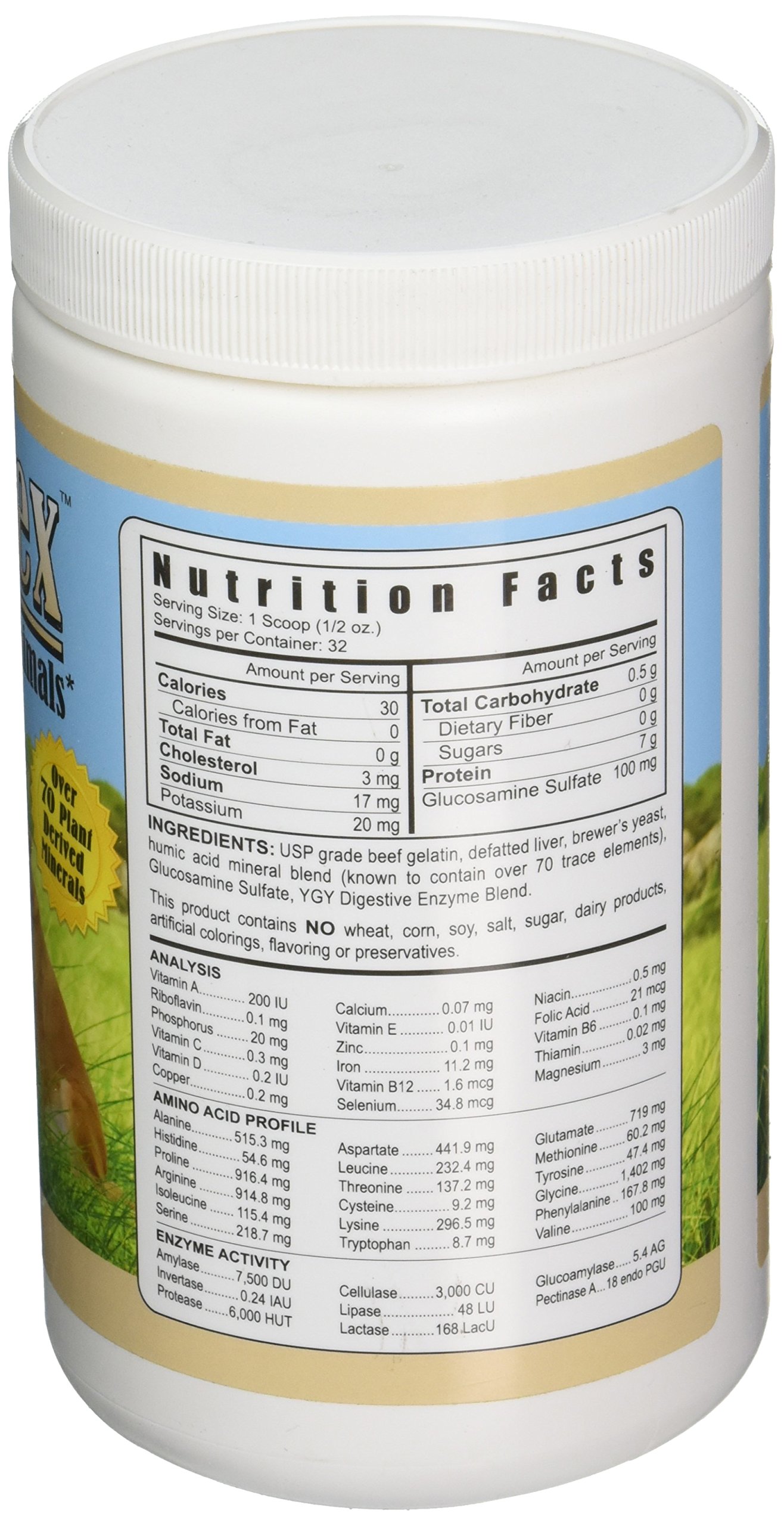 YOUNGEVITY Arthrydex Complete Nutritional Supplement | Vitamins Amino Acids Enzymes | Pets Healthy Bones & Joints -1 lb Canister