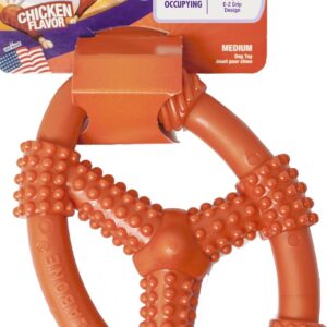 Nylabone TFH Fun N Fit Flex Oval RNG MD