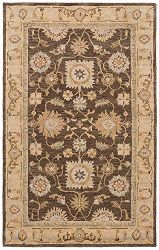 SAFAVIEH Anatolia Collection Area Rug - 6' x 9', Brown & Taupe, Handmade Traditional Oriental Wool, Ideal for High Traffic Areas in Living Room, Bedroom (AN556C)