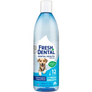 Naturel Promise Fresh Dental Water Additive - Dental Health Solution for Dogs - Easy to Use - Helps Clean Teeth - Freshens Breath Up to 12 Hours - No Brushing Required - 18 Fl Oz, 1 Pack