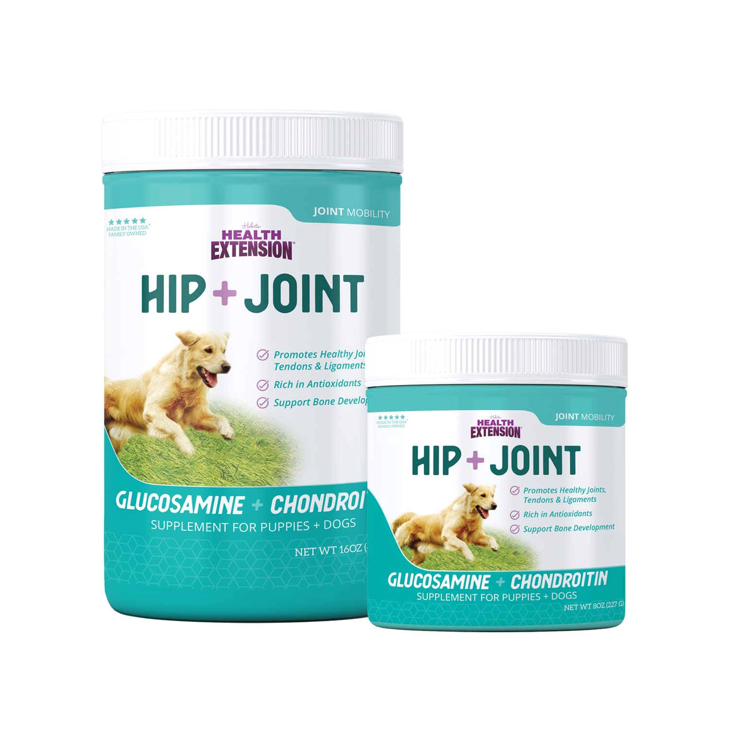 Health Extension Chondroitin with Glucosamine for Dogs, 16oz - Arthritis Pain Relief, Joint & Hip Supplement, Cheese Flavored Powder