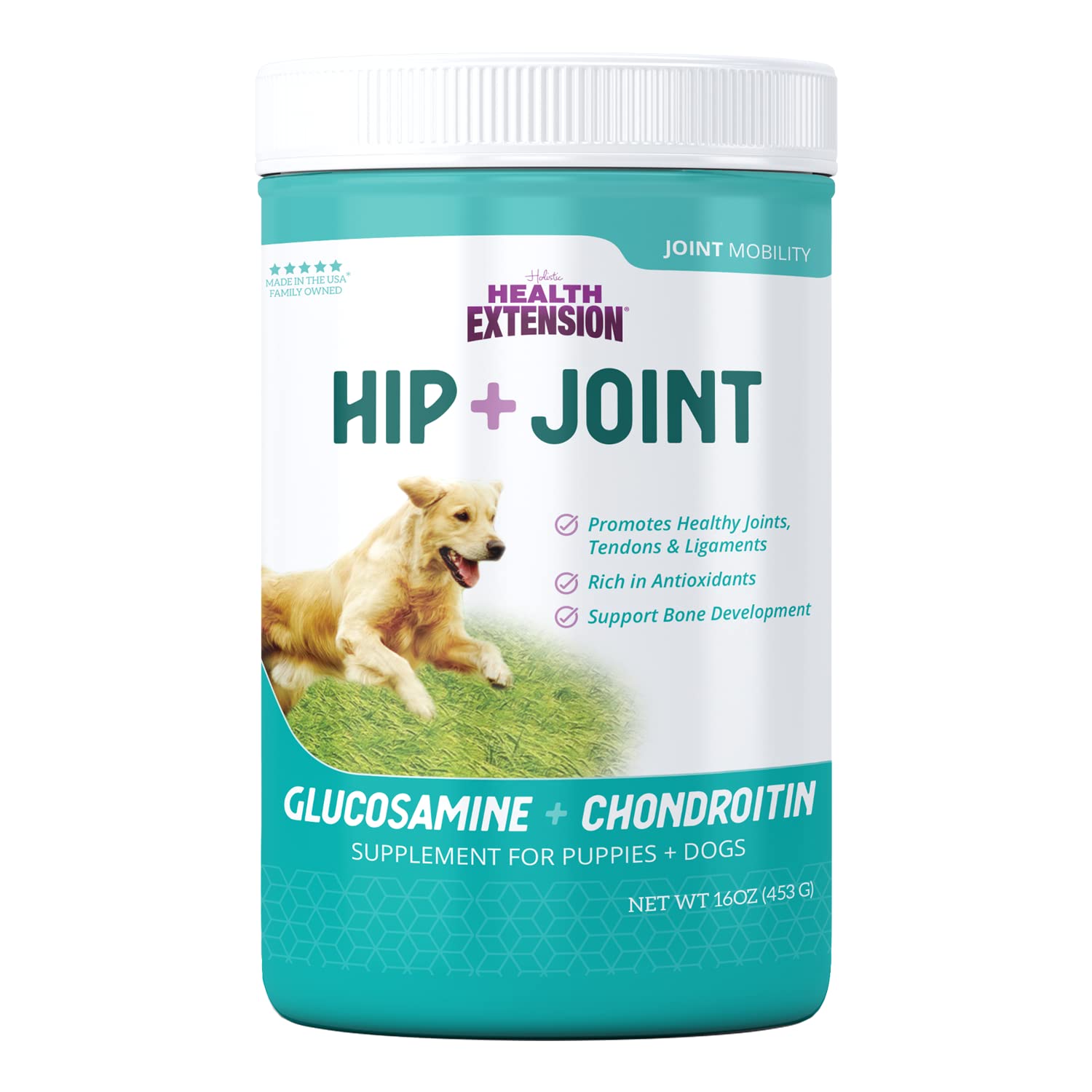 Health Extension Chondroitin with Glucosamine for Dogs, 16oz - Arthritis Pain Relief, Joint & Hip Supplement, Cheese Flavored Powder