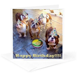 3dRose English Bulldog Birthday - Greeting Cards, 6 x 6 inches, set of 6 (gc_39567_1)