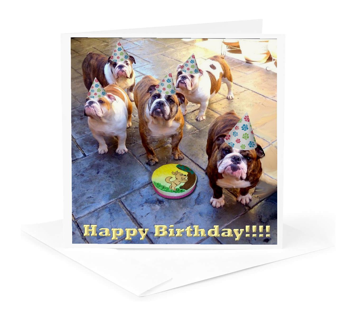 3dRose English Bulldog Birthday - Greeting Cards, 6 x 6 inches, set of 6 (gc_39567_1)