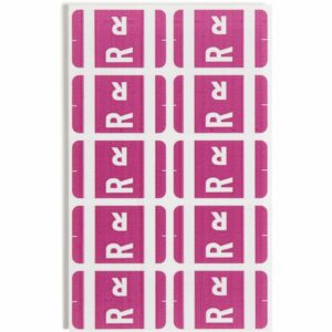 Smead AlphaZ ACCS Color-Coded Alphabetic Label R, Purple, 100 Labels per Pack (67188)