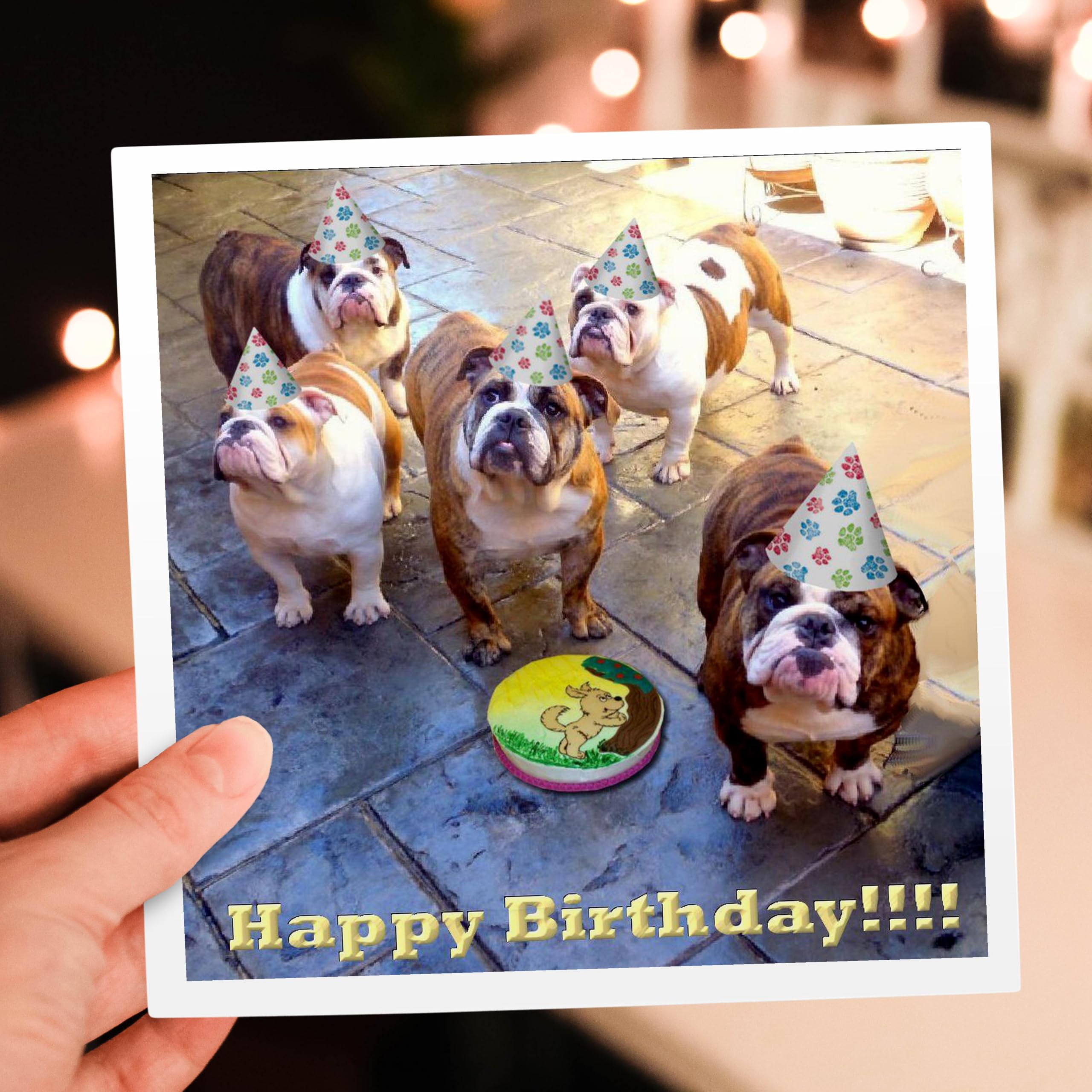 3dRose English Bulldog Birthday - Greeting Cards, 6 x 6 inches, set of 6 (gc_39567_1)