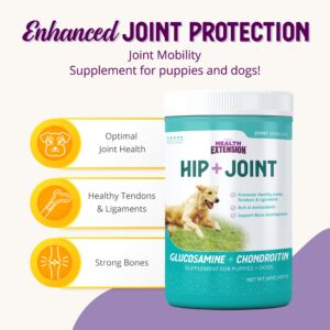 Health Extension Chondroitin with Glucosamine for Dogs, 16oz - Arthritis Pain Relief, Joint & Hip Supplement, Cheese Flavored Powder