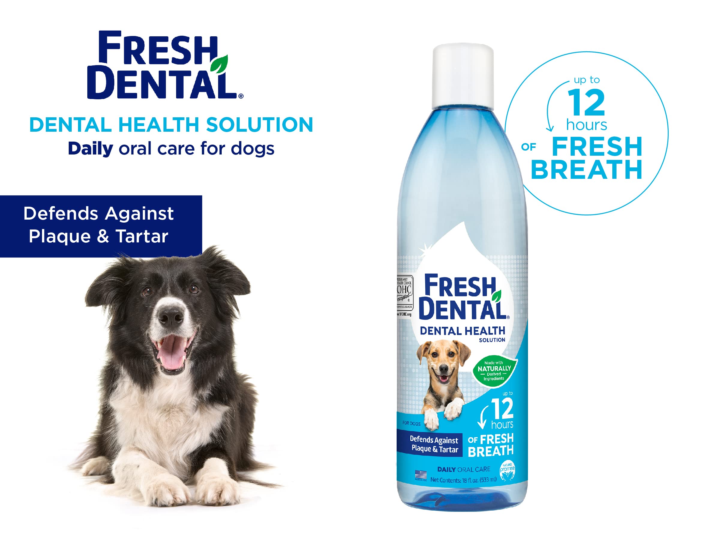 Naturel Promise Fresh Dental Water Additive - Dental Health Solution for Dogs - Easy to Use - Helps Clean Teeth - Freshens Breath Up to 12 Hours - No Brushing Required - 18 Fl Oz, 1 Pack