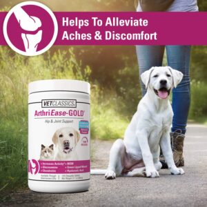 Vet Classics ArthriEase-Gold Hip & Joint Support for Dogs, Cats, Horses – Chewable Tablet Health Supplement – Alleviate Aches, Discomfort – for Flexibility, Healthy Joint – Antioxidant - 120 Ct