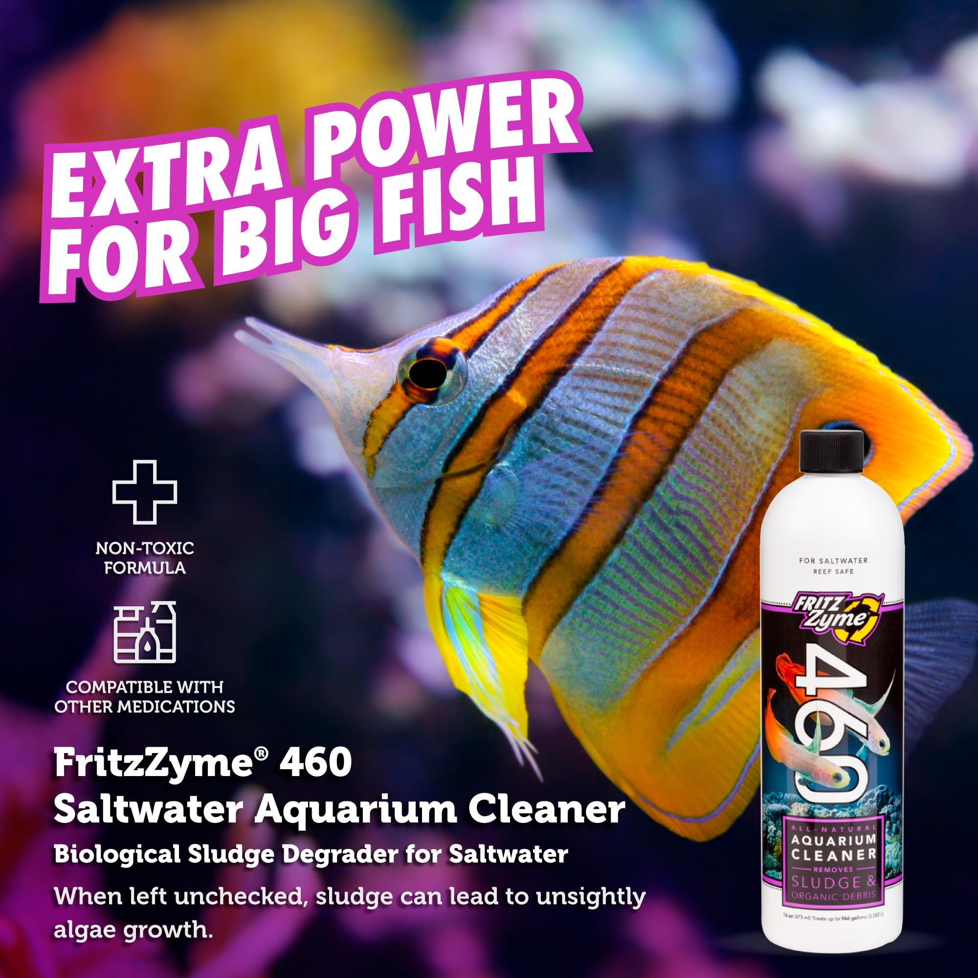 Fritz Aquatics 83370 FritzZyme 460 Biological Conditioner for Salt Water Aquariums, 16-Ounce