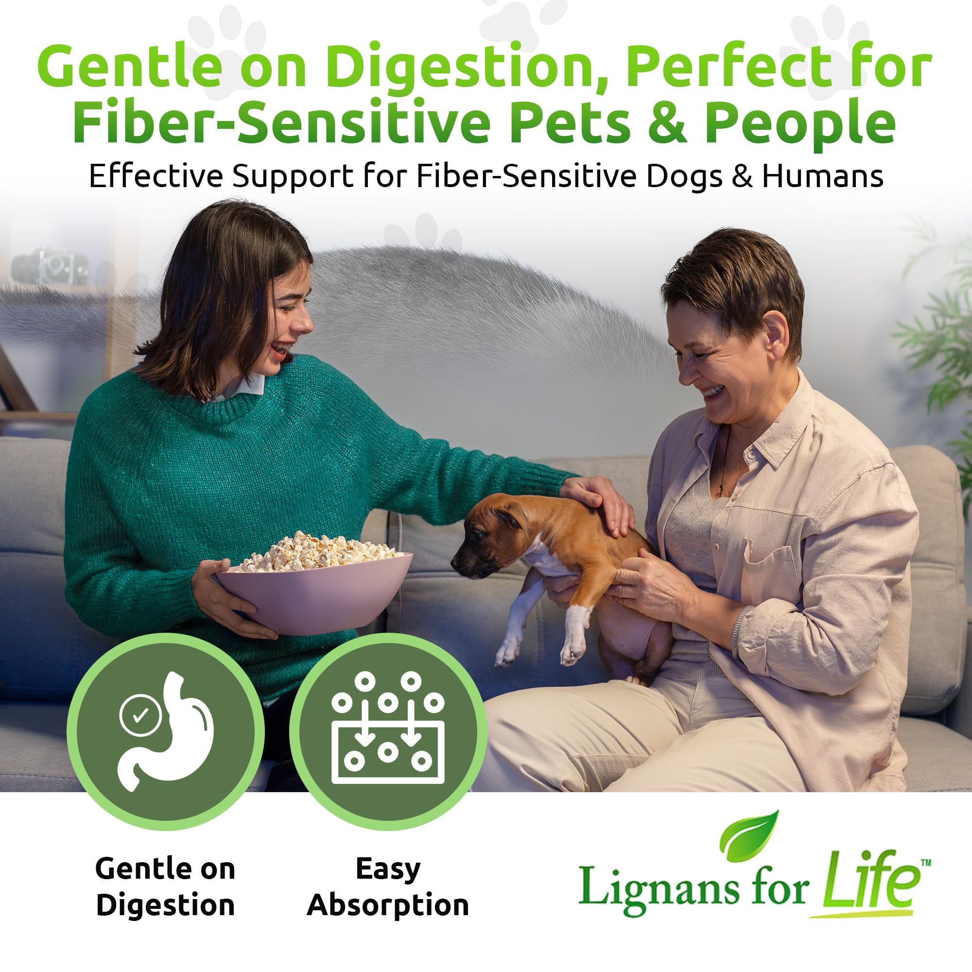 Lignans For Life HMR Lignans for Dogs, 40mg - 90 Capsules, Dog Vitamin for Healthy Pet | Natural Dog Vitamin | Dog Wellness Supplement | Pet Vitamin | Dog Nutritional Supplement - 90 Capsules