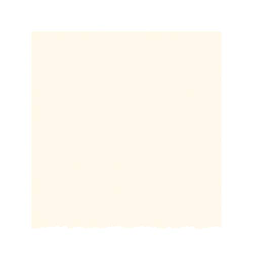 Strathmore Creative Cards, Ivory with Deckle Edge, 5x6.875 inches, 100 Pack, Envelopes Included - Blank Greeting Cards for Weddings, Events, Birthdays