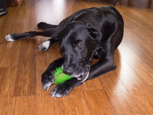 Starmark Treat Dispensing Pickle Pocket for Dogs