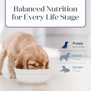 Blue Buffalo Basics Puppy Dry Dog Food for Skin & Stomach Care, Limited Ingredient Diet, Made in the USA with Natural Ingredients, Turkey & Potato Recipe, 4-lb. Bag