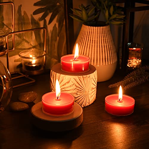 Zest Candle 12-Piece Tealight Candles, Mega Oversized Red s