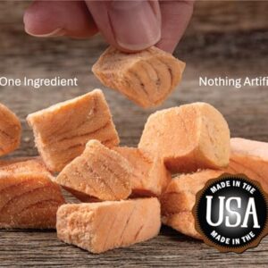 Whole Life Pet Just One Salmon - Dog Treat Or Topper - Human Grade, Freeze Dried, One Ingredient - Protein Rich, Grain Free, Made in The USA