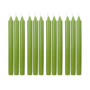 Zest Candle 12-Piece Taper Candles, 10-Inch, Sage Green Straight