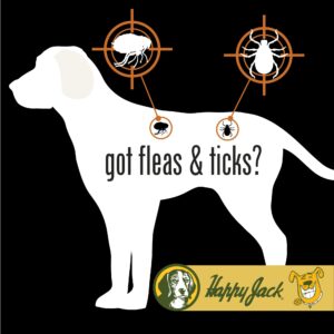 Happy Jack Paracide Flea & Tick Shampoo for Dogs, Dog Flea and Tick Treatment, Flea and Tick Prevention for Cats, 8 oz