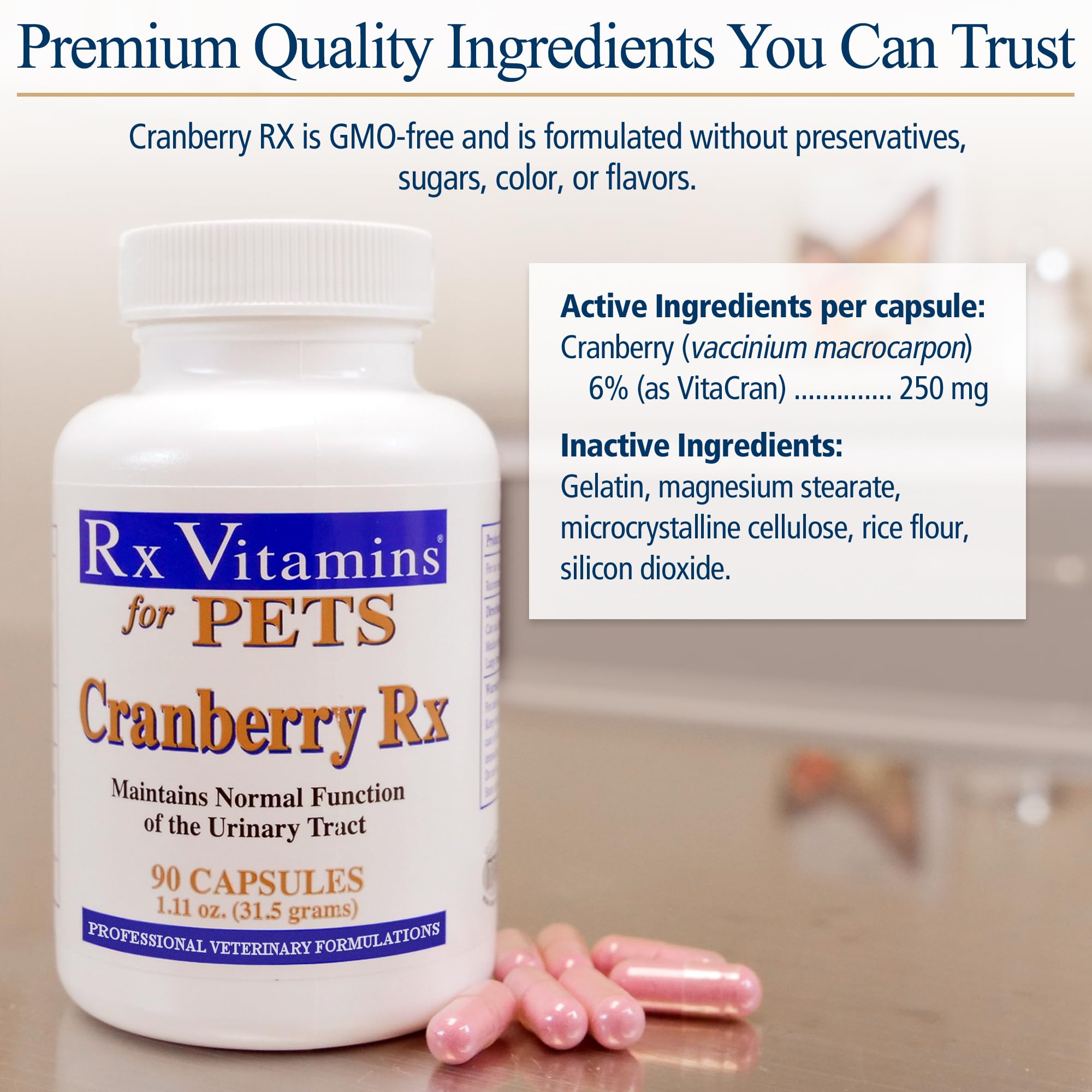 Rx Vitamins Cranberry Pills for Dogs - Cat Urinary Tract Medicine Support - UTI Treatment for Pets - Dog & Cat Urinary Relief Aid - 90 Cap.