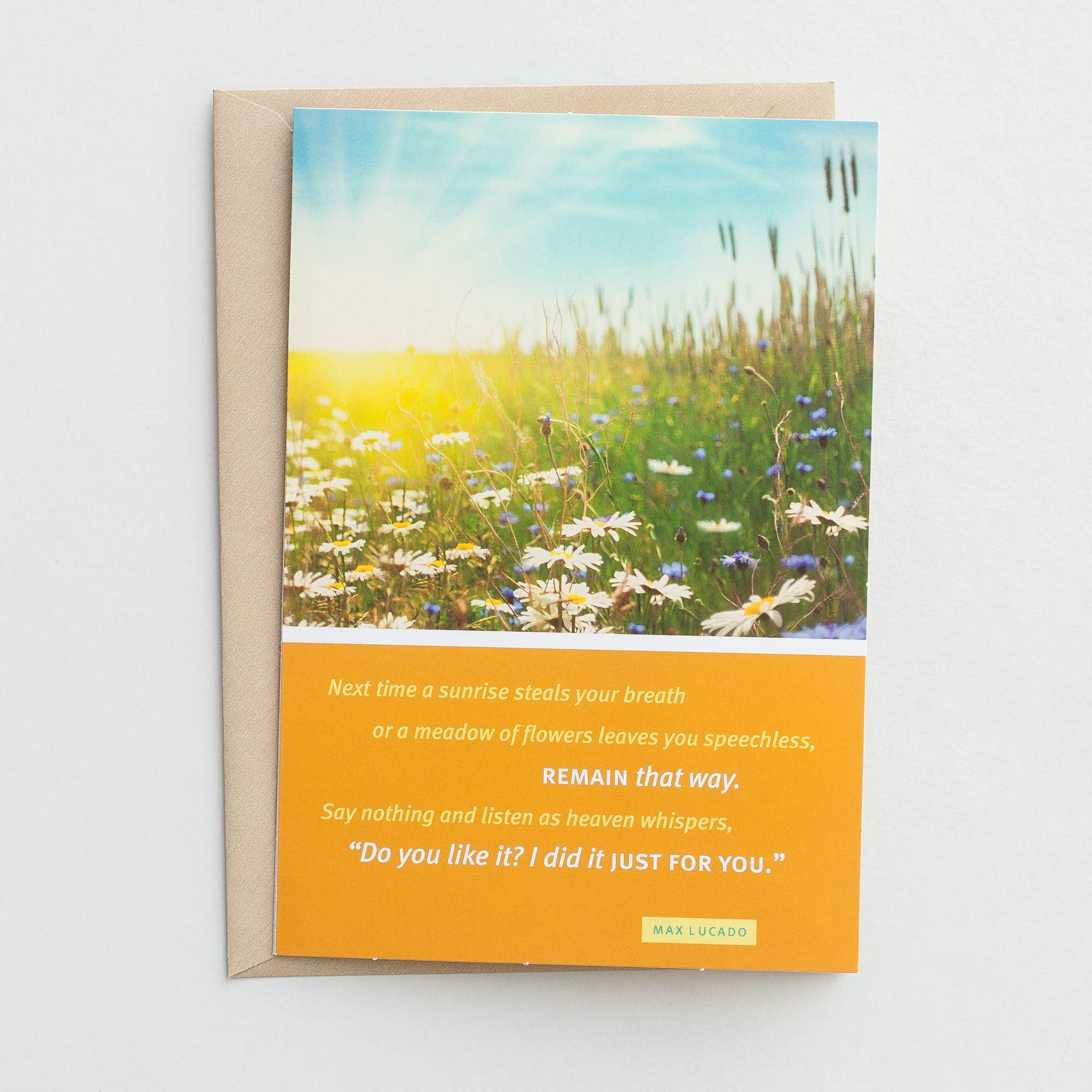 DaySpring - Max Lucado - Birthday - Just for You - 6 Premium Cards with Envelopes