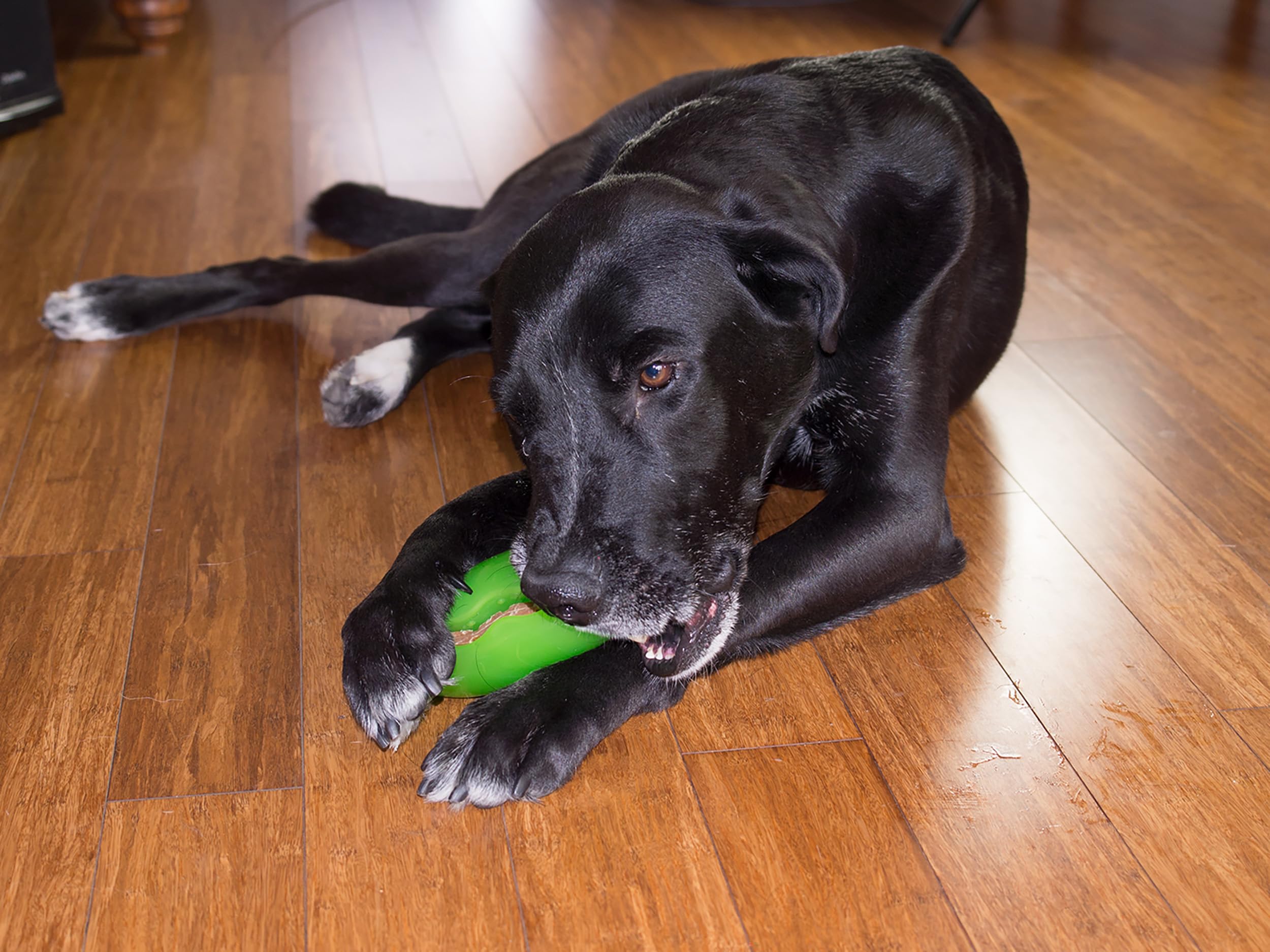 Starmark Treat Dispensing Pickle Pocket for Dogs