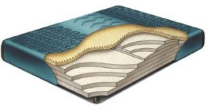 california king comfort supreme waveless waterbed mattress