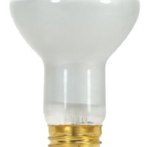 Satco S8519 130-Volt 45-Watt R20 Medium Base Light Bulb, Frosted