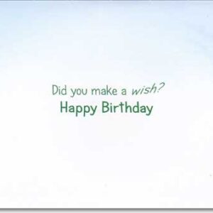 Greeting Card Birthday Humor "Did You Make a Wish?" Happy Birthday"