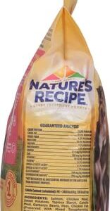 Nature′s Recipe Grain Free Salmon, Sweet Potato & Pumpkin Recipe Dry Dog Food, 4 lb. Bag