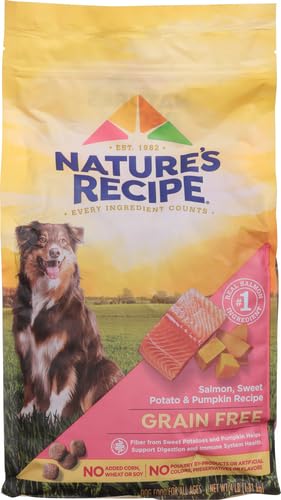 Nature′s Recipe Grain Free Salmon, Sweet Potato & Pumpkin Recipe Dry Dog Food, 4 lb. Bag