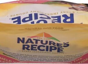 Nature′s Recipe Grain Free Salmon, Sweet Potato & Pumpkin Recipe Dry Dog Food, 4 lb. Bag