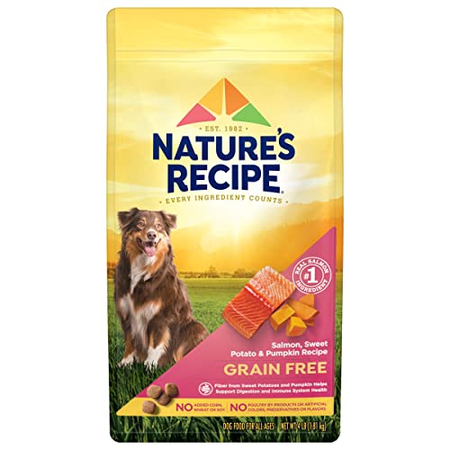 Nature′s Recipe Grain Free Salmon, Sweet Potato & Pumpkin Recipe Dry Dog Food, 4 lb. Bag