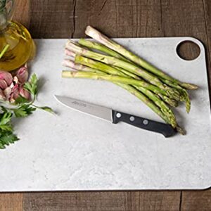 ARCOS Vegatable Knife 4 Inch Stainless Steel. Professional Vegetable Knife for Peeling Fruits and Vegetables. Ergonomic Polyoxymethylene Handle and 100 mm Blade. Series Universal. Color Black.