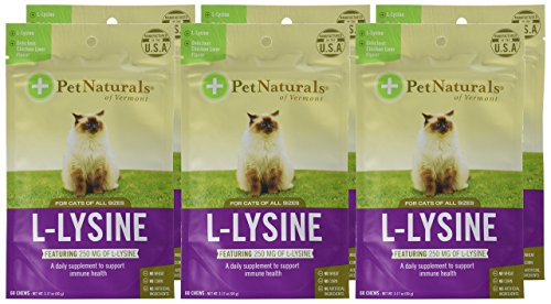 Pet Naturals of Vermont L-Lysine 60 Fun-Shaped Chews for Cats - 6 pack