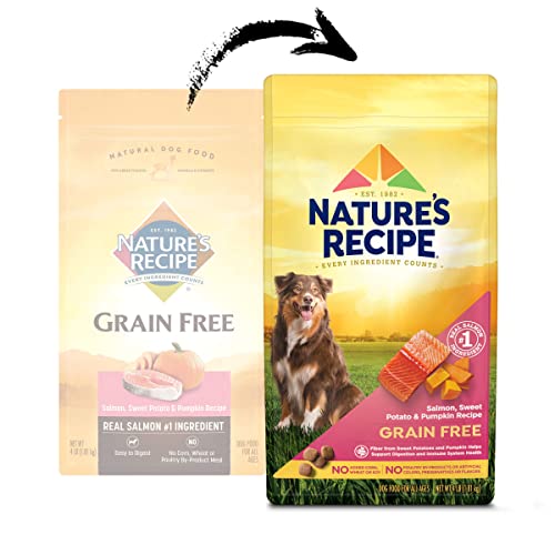 Nature′s Recipe Grain Free Salmon, Sweet Potato & Pumpkin Recipe Dry Dog Food, 4 lb. Bag