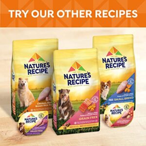 Nature′s Recipe Grain Free Salmon, Sweet Potato & Pumpkin Recipe Dry Dog Food, 4 lb. Bag