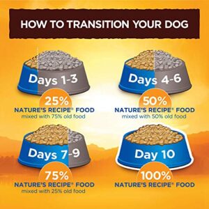 Nature′s Recipe Grain Free Salmon, Sweet Potato & Pumpkin Recipe Dry Dog Food, 4 lb. Bag